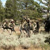 mountain warfare training center training at wood