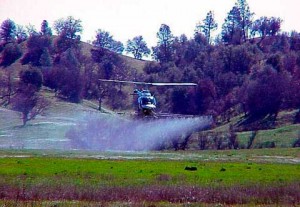 Fort Hunter Liggett Helicopter Flight