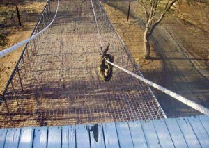Harsh Obstacle course Fort Hunter Liggett