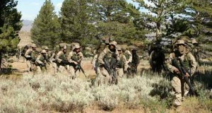 mountain warfare training center training at wood