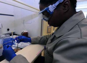 Research work at Marine Safety Lab