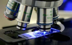 Scientist microsope at fort detrick