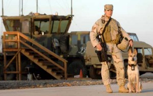 K9 at Tinker Air Force Base