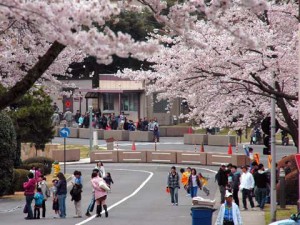 Entrance gate at Camp Zama